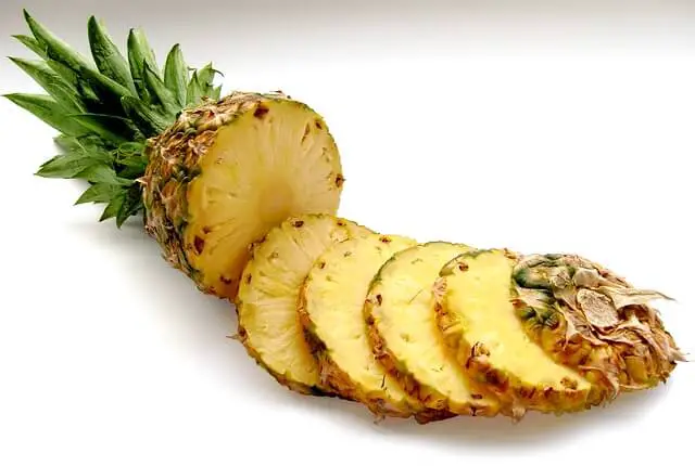 How To Easily Grow Pineapple Indoors