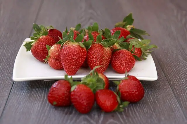 How To Easily Grow Strawberries Indoors