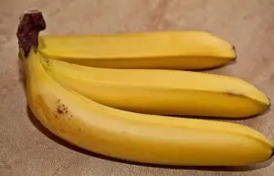a banana plant can be grown indoors