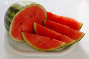 watermelon can be grown in an apartment