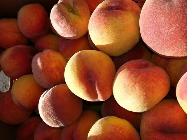 How To Easily Grow A Peach Tree Indoors