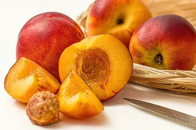 How To Easily Grow A Dwarf Nectarine Tree Indoors