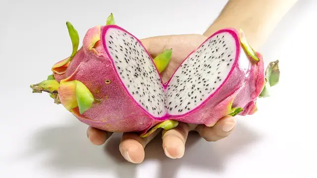 How To Easily Grow Dragon Fruit Indoors