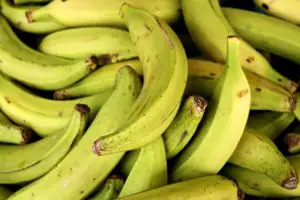 easy to grow bananas indoors