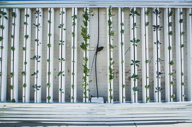 living wall system