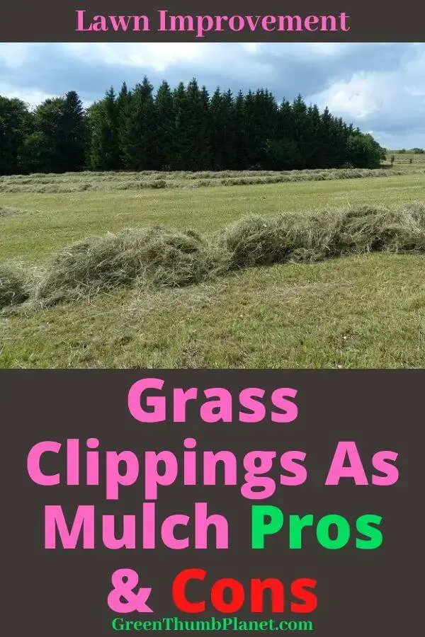 pros cons mulch grass clippings