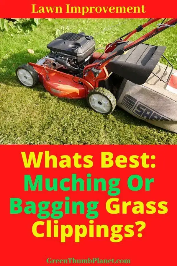 Mulching Or Bagging Grass?