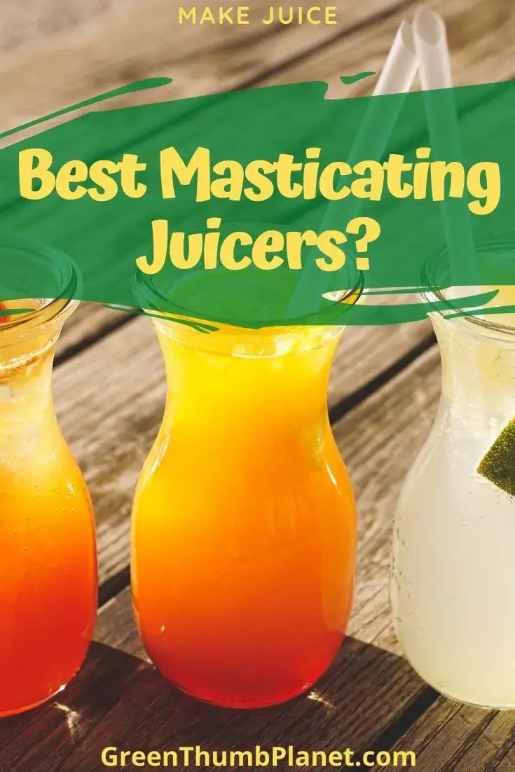 buy a masticating juicer