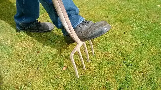 how to aerate lawn with pitch fork