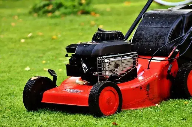 23 Best Gas Lawn Mowers For The Money 2020