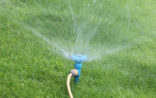 water centipede lawn grass with sprinkler