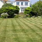 lawn striping with no roller diy