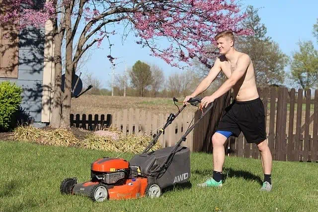 As The Temperature Rises Mow Your Grass Appropriately?