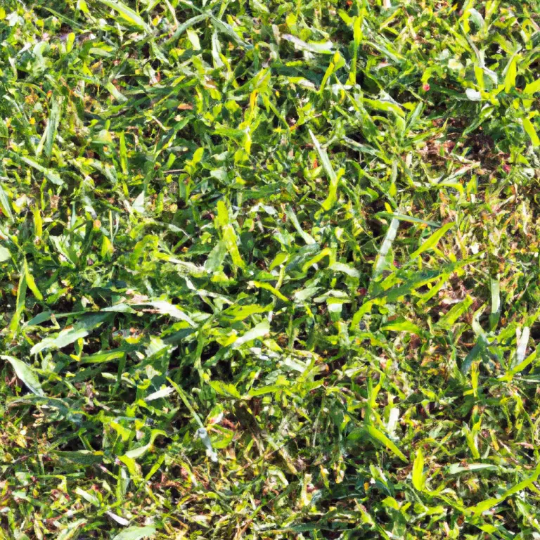 Fall Pre-Emergent Guide: Defeating Bermuda Grass Like A Pro!