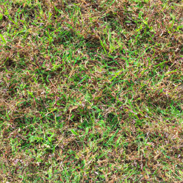 Bermuda Grass Mowing Tips You Can’t Ignore!