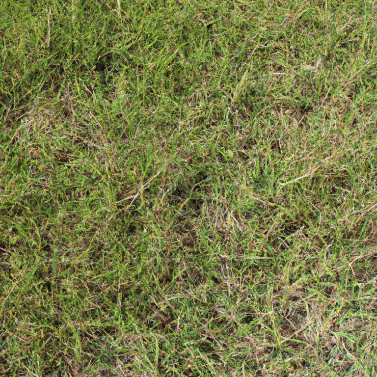 Weeding Bermuda Grass: Taming The Invader In Your Lawn!