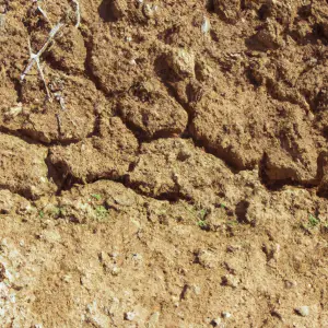 Amending Clay Soil