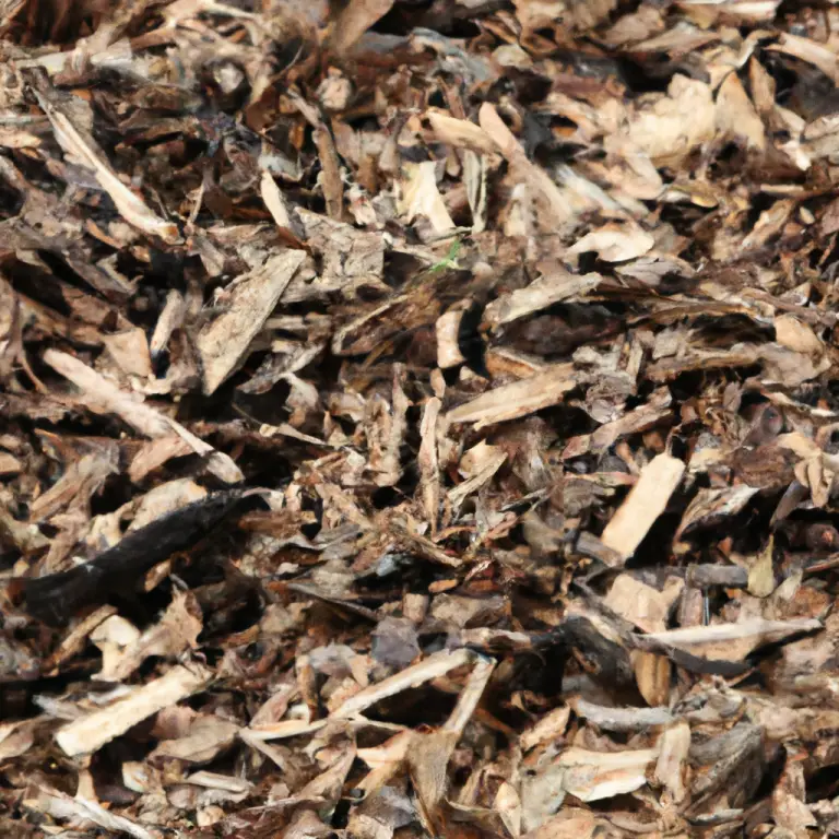Grass Seed Covered: Exploring The Pros And Cons Of Grass Clipping Mulch!
