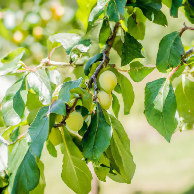 Fruit Trees Unleashed: Discover The Top Picks For North Texas!