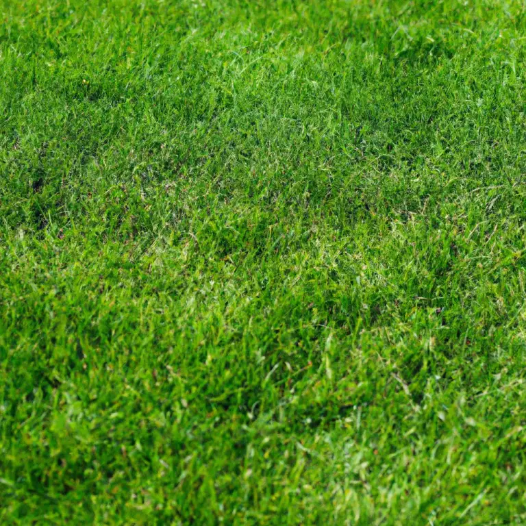 Mayday Mistake: Why Cutting Grass In May Could Ruin Your Lawn!
