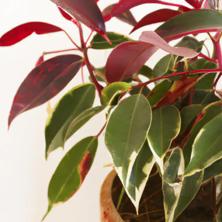 The Dark Side Of Indoor Plant Growing: Dangers You Should Know!