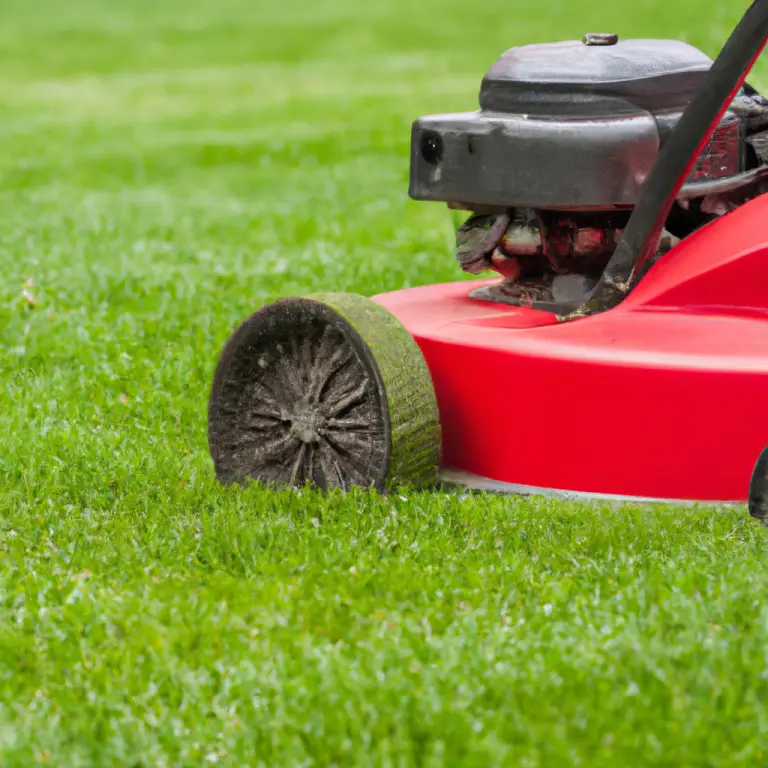 What To Do If Your Neighbor Doesn’t Mow Their Lawn?