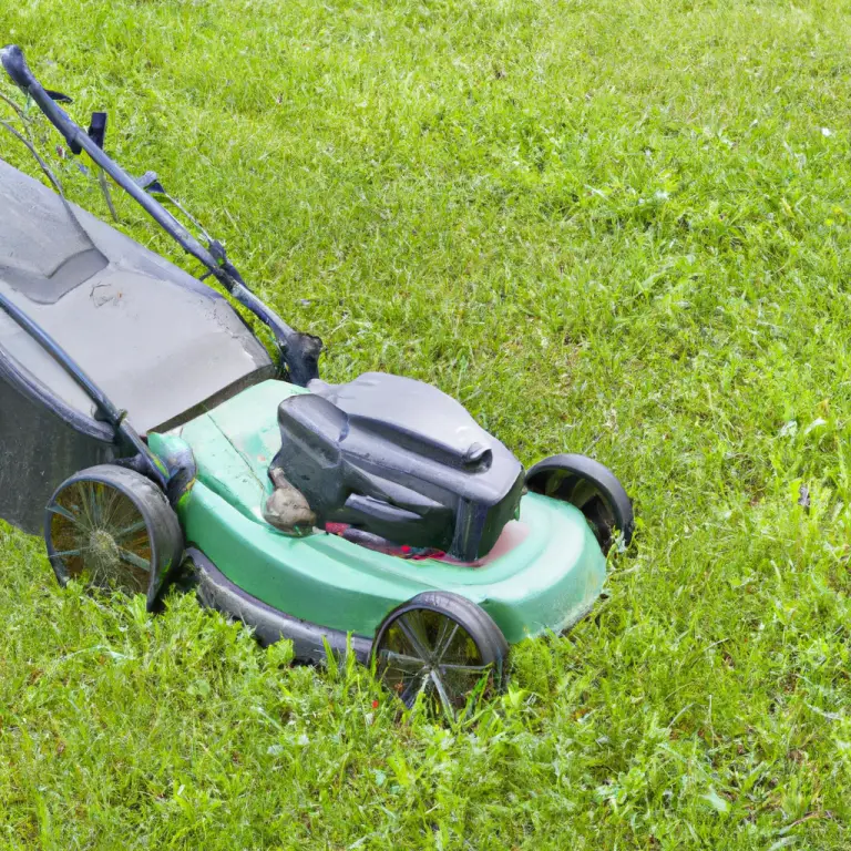 Neighbor Keeps Mowing My Lawn: What To Do?