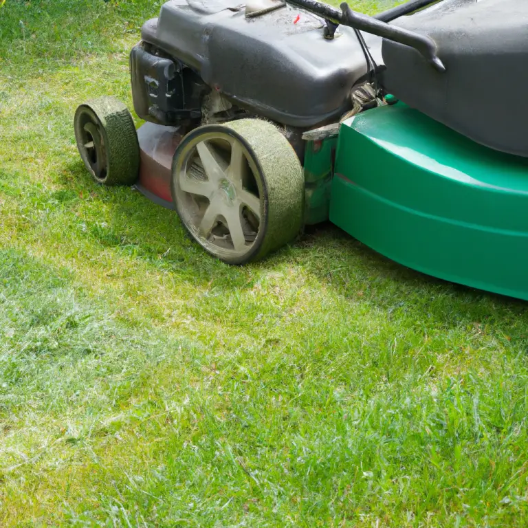 What Should You Not Do When Mowing?
