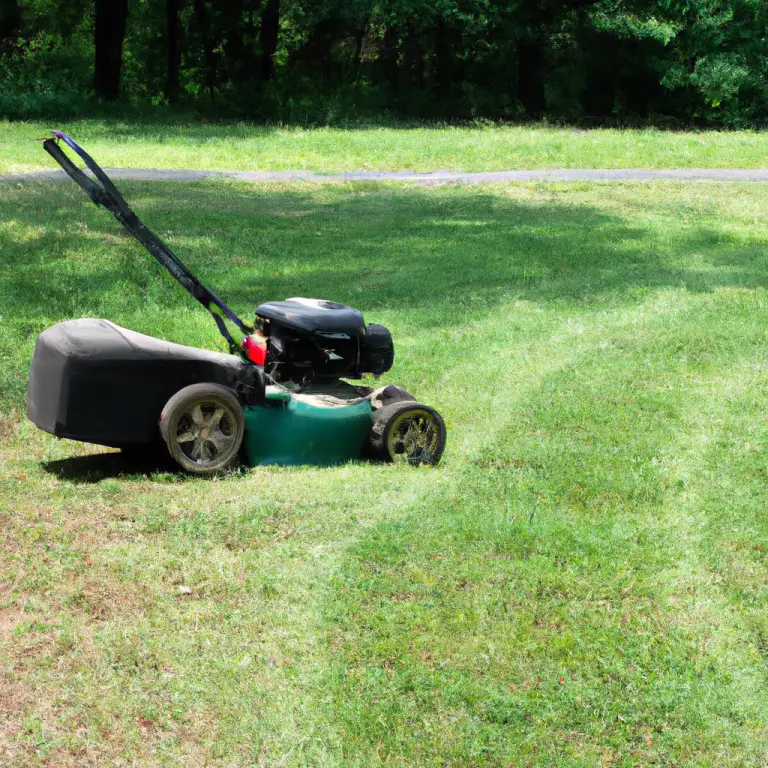 What To Do When Neighbor Keeps Mowing On Your Property?