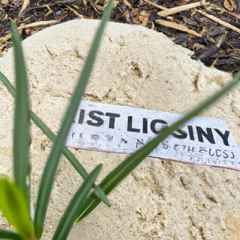 Secrets To Lush St. Augustine: Fertilizers Unveiled!